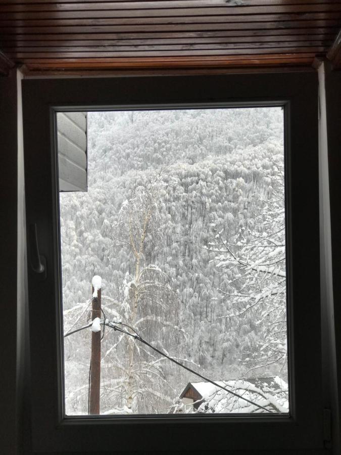 Kuca Za Odmor ,,Balkan” Crni Vrh Kültér fotó