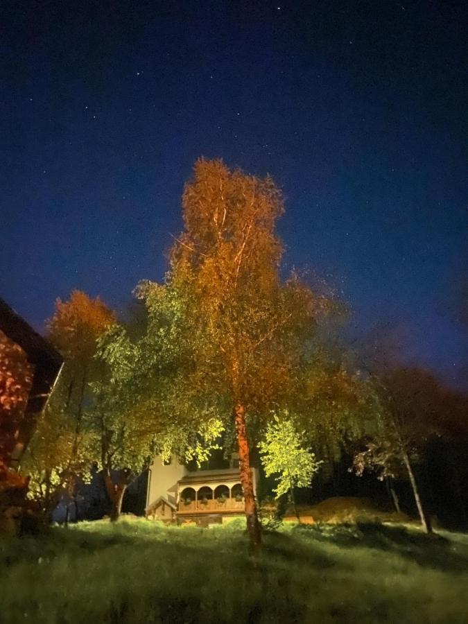 Kuca Za Odmor ,,Balkan” Crni Vrh Kültér fotó