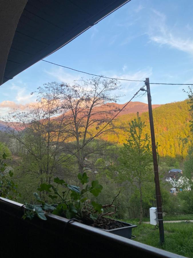 Kuca Za Odmor ,,Balkan” Crni Vrh Kültér fotó