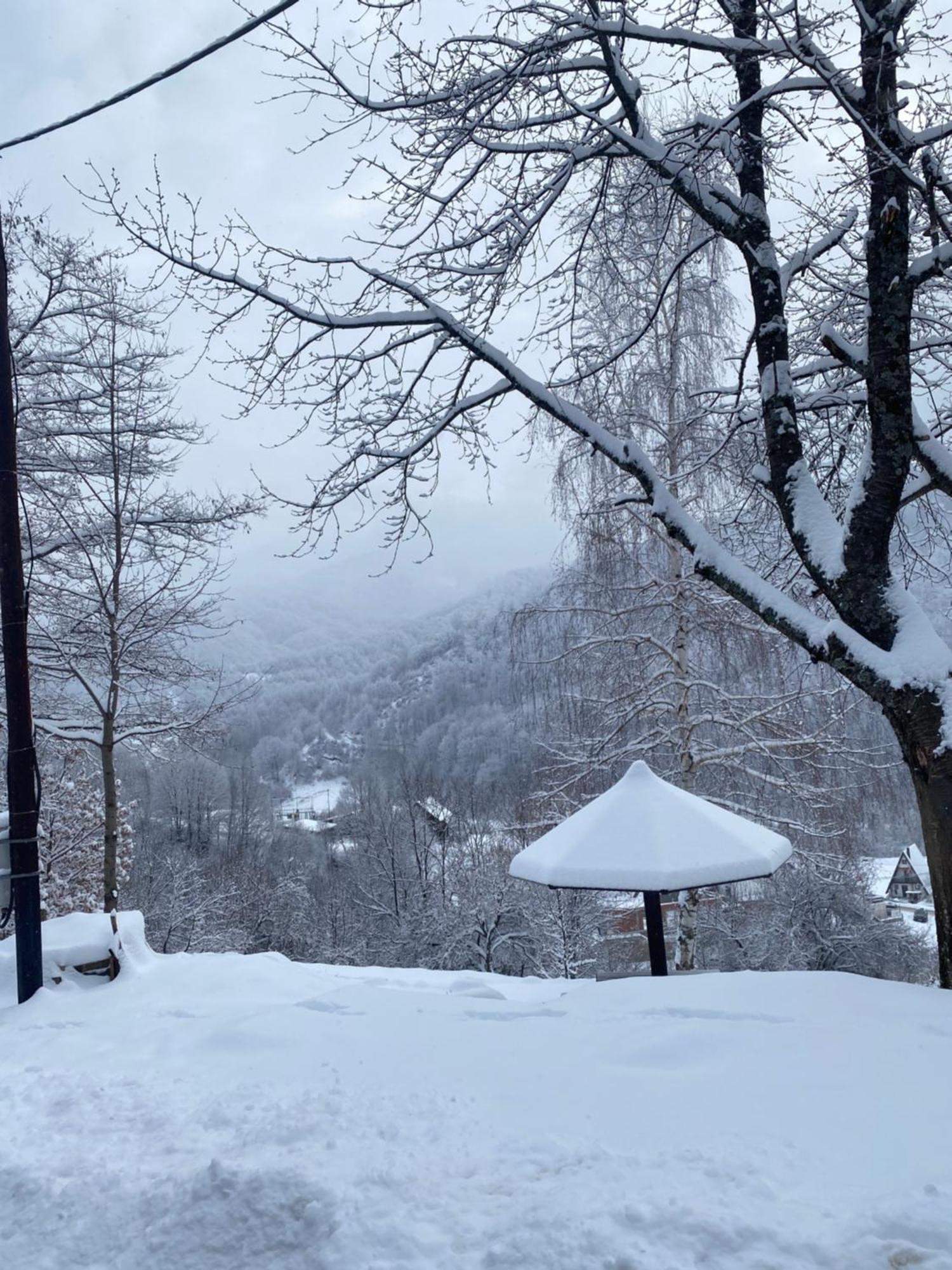 Kuca Za Odmor ,,Balkan” Crni Vrh Kültér fotó