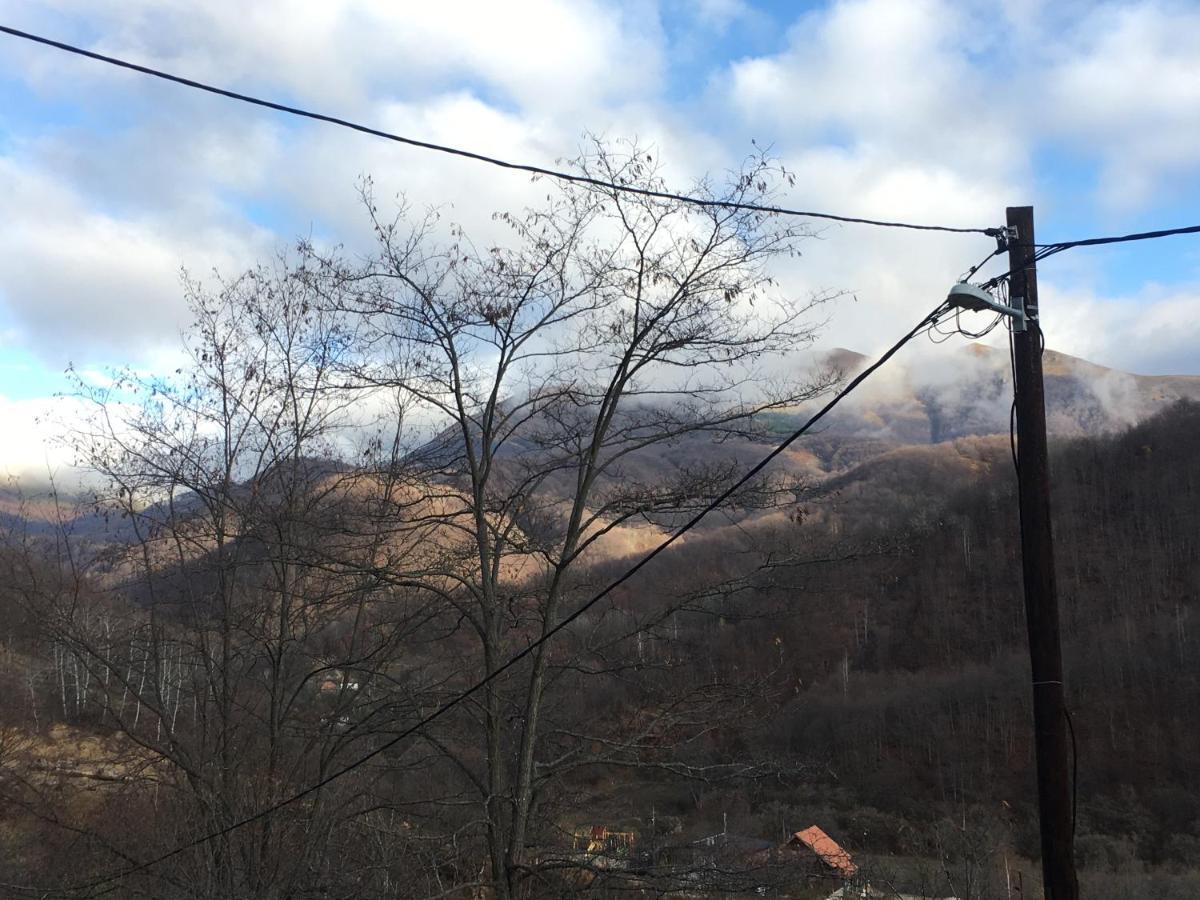 Kuca Za Odmor ,,Balkan” Crni Vrh Kültér fotó